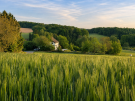  Ferienwohnung Odenwald Böllstein Brombachtal Natur Wandern Mountainbiking